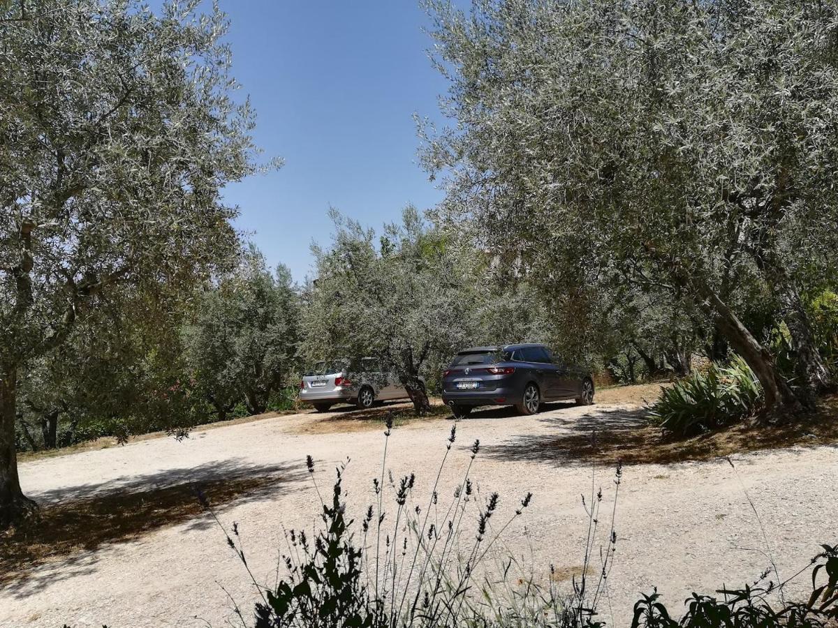 Casa Vacanze "Alcentro" Ασίζη Εξωτερικό φωτογραφία